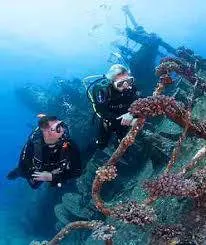 	Diving in marsa alam and what is the best spots for diving in marsa alam